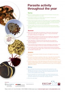 Parasite Activity Poster