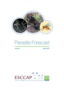 Issue 09: Spring 2019 Parasite Forecast