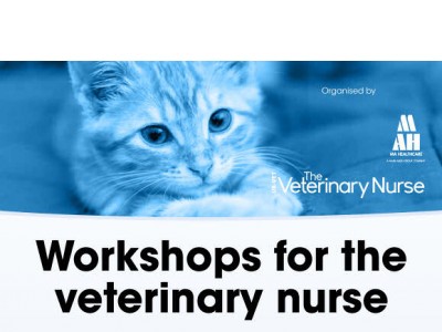 Workshops for the veterinary nurse