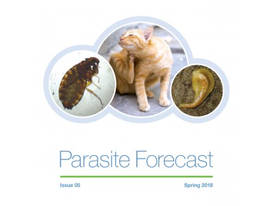 Spring Parasite Forecast: Issue 5